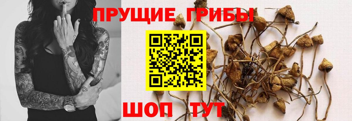 Псилоцибиновые грибы ЛСД  Вход с VPN  Минеральные Воды 